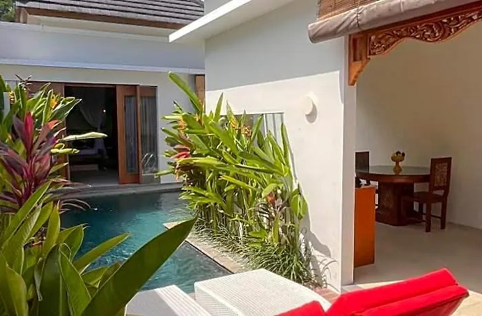 Maharaja 4*